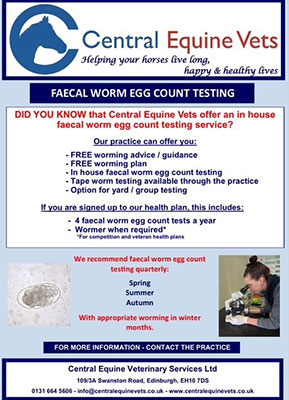 Worming products flyer