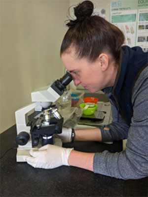 In-house faecal worm egg count testing
