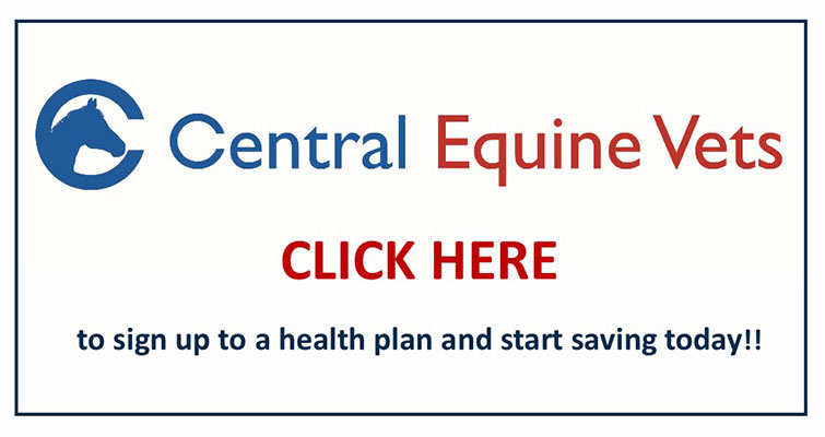 Buy your Equine Health Plan Now button