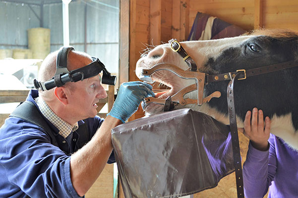 Malcolm Corsar completing a routine dental examination