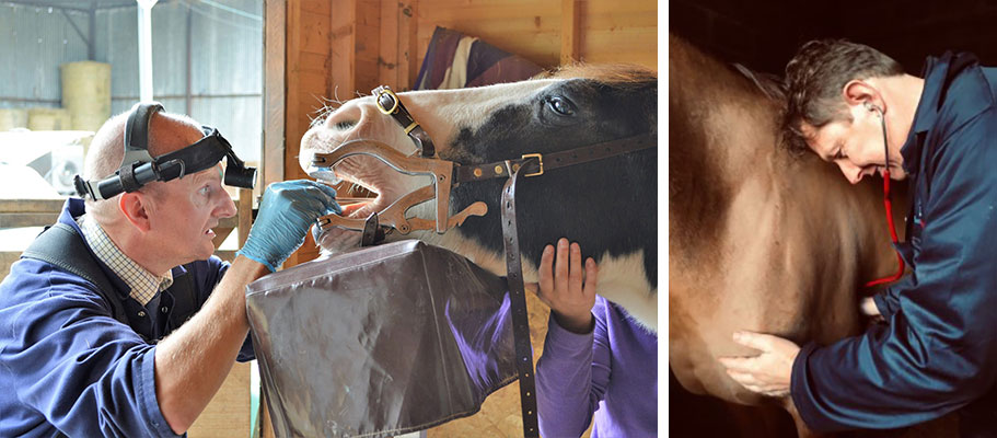 Routine dental examination being completed under sedation | Health check being completed 