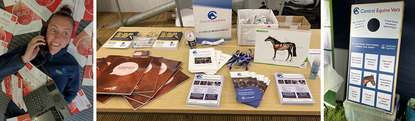 Equine Knowledge Hub 1